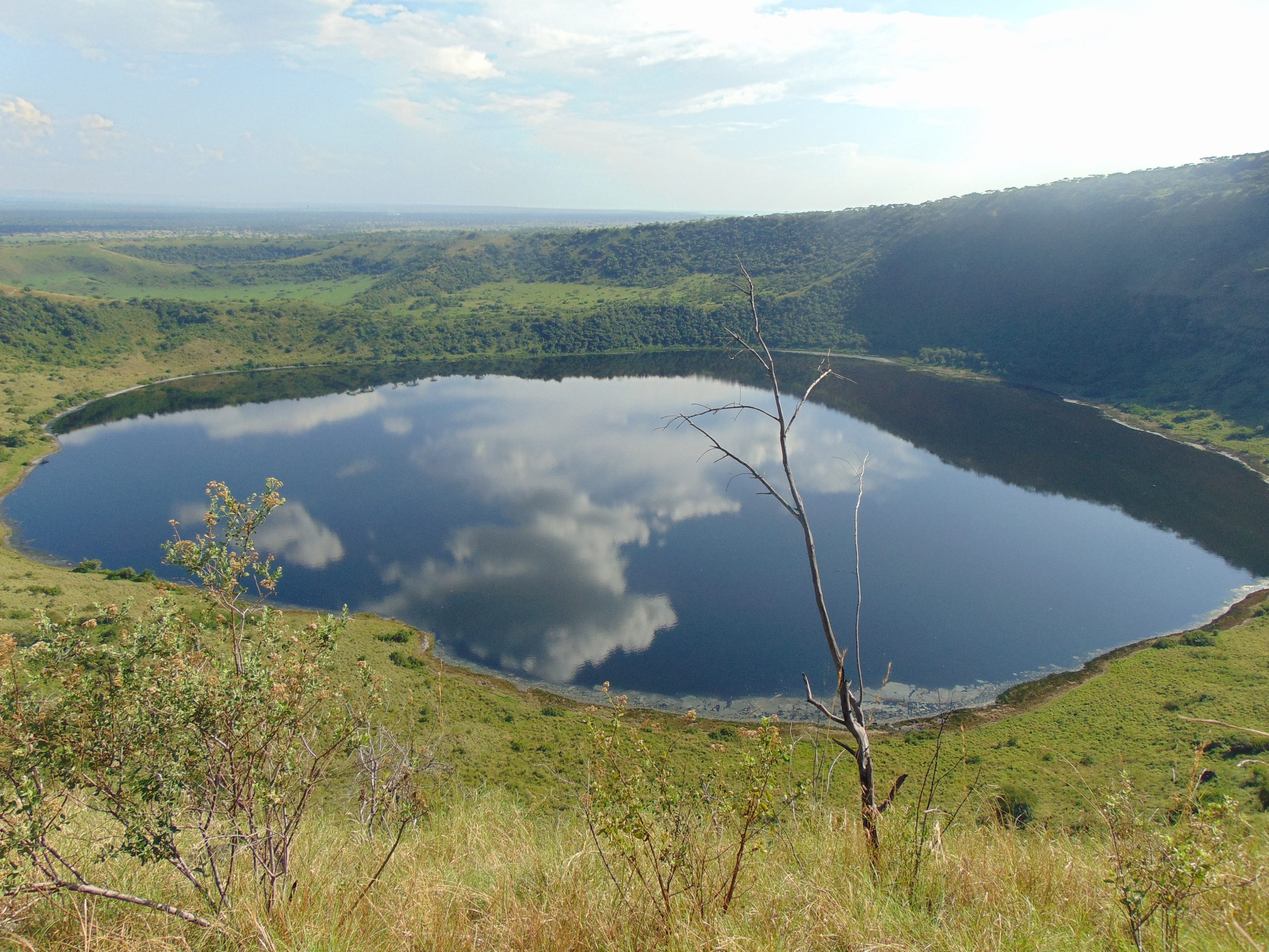 Classic Uganda Safari