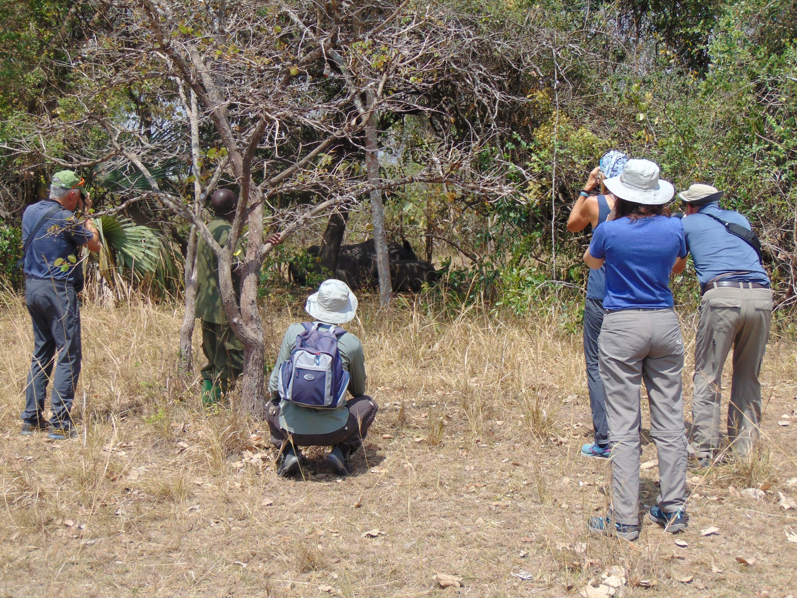 Classic Uganda Safari