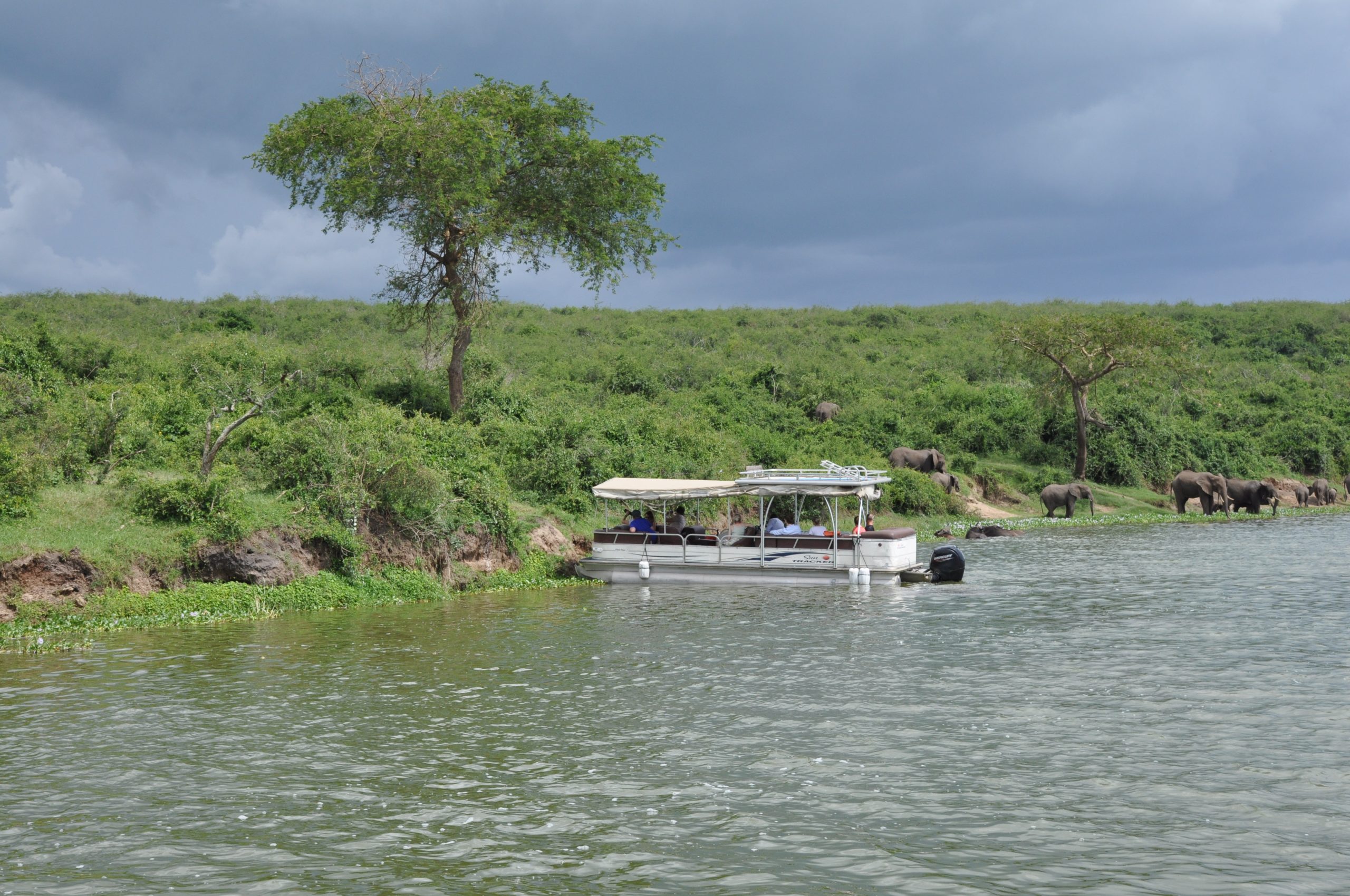 Classic Uganda Safari