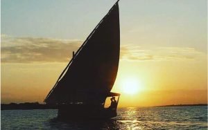 10 Days of Gorillas and Wildlife Luxury Safari in Kenya and Rwanda