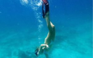 10 Days of Gorillas and Wildlife Luxury Safari in Kenya and Rwanda