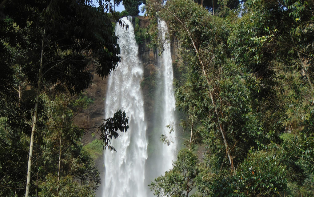 Classic Uganda Safari