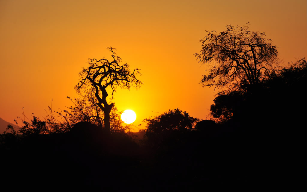 Classic Uganda Safari